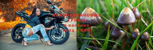 прущие крисы Алзамай